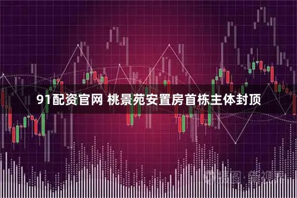 91配资官网 桃景苑安置房首栋主体封顶